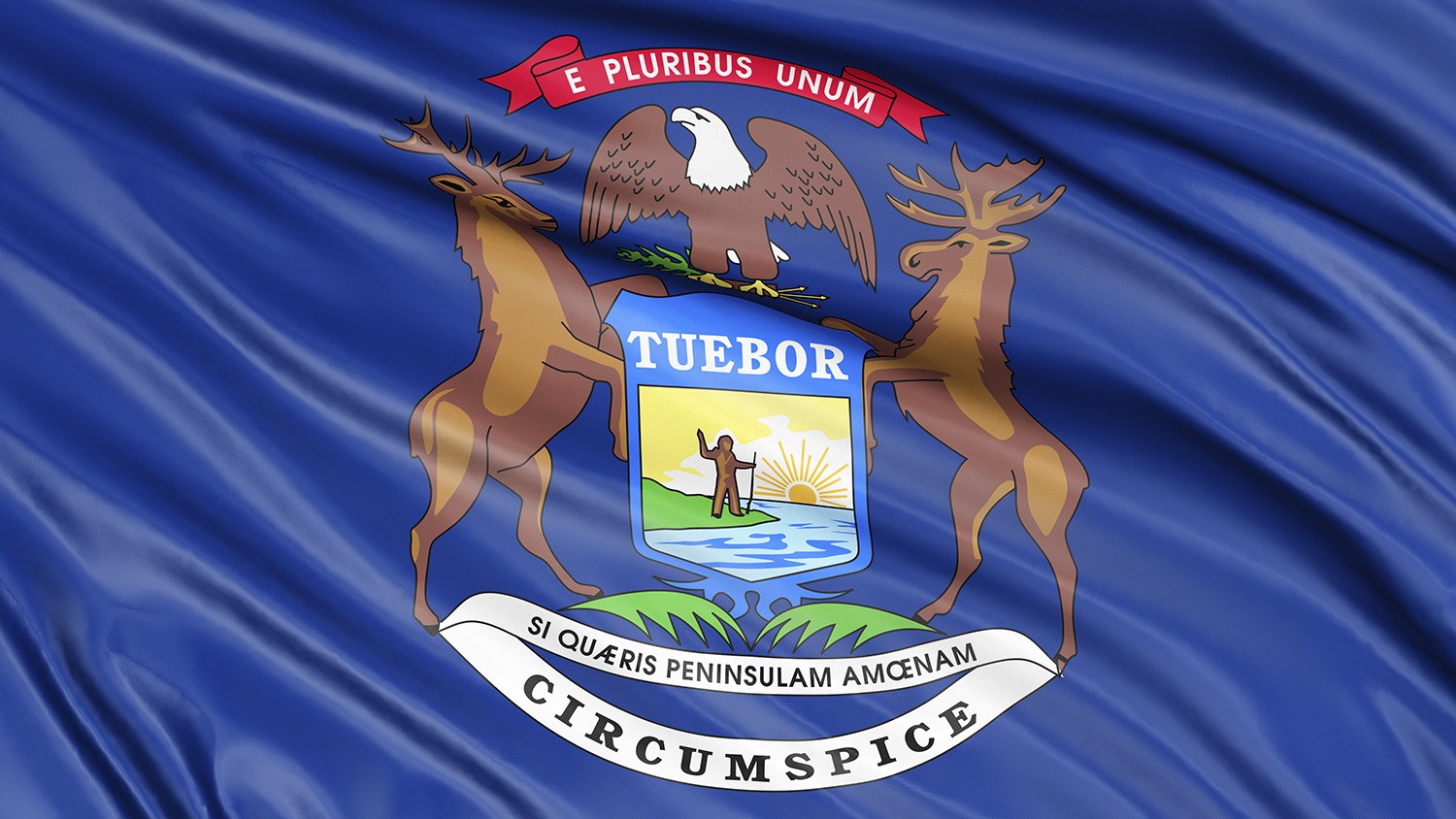 Michigan: House Committee Hearing Anti-Gun Bills Tomorrow