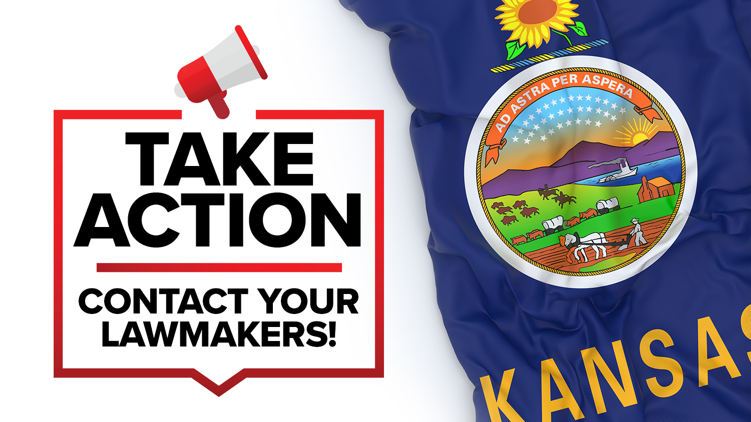 NRA-ILA | Kansas: Eddie Eagle Firearm Safety Education Bill Scheduled for Senate Hearing on Monday - Vimarsana News